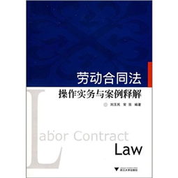 劳动法与劳动合同法,全面解读与实用指南